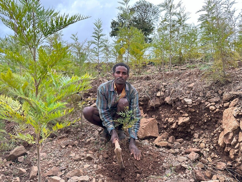 Gizaw Tsegaye aus Fogera pflanzt Baeume