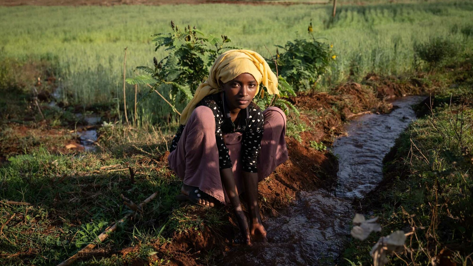 Bewässerungskanal in Seka Aethiopien - Stiftung Menschen für Menschen