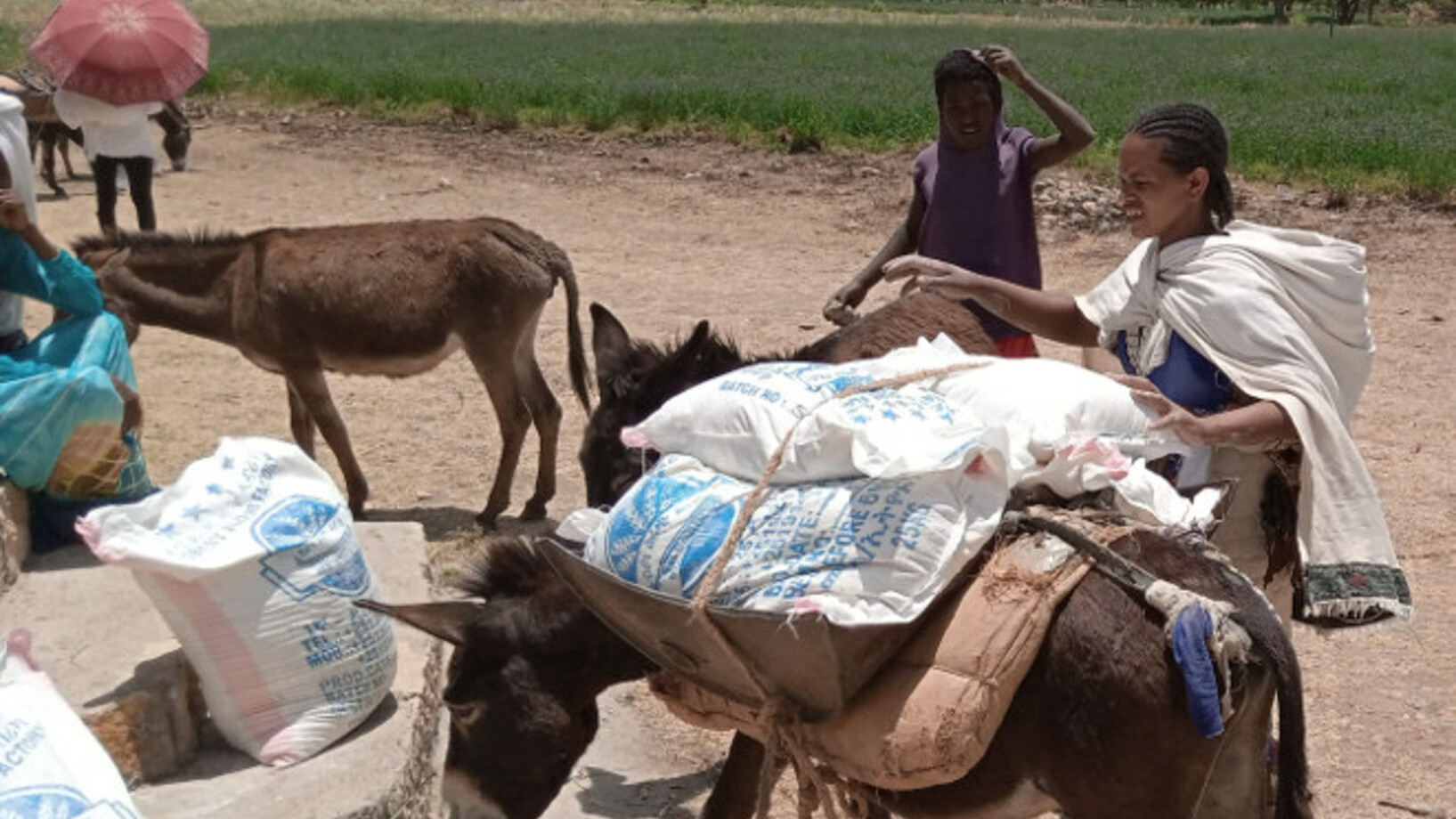 Lebensmittelverteilung nahe der Stadt Wukro in Äthiopien - Stiftung Menschen für Menschen