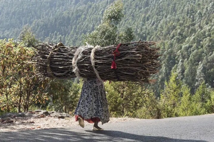 Frau trägt Holzbündel 
