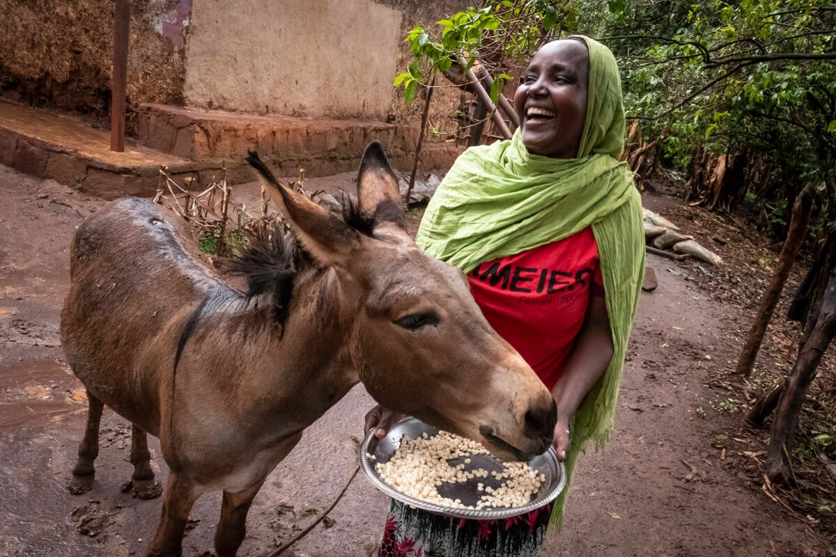 Mikrokreditnehmerin mit ihrem Esel