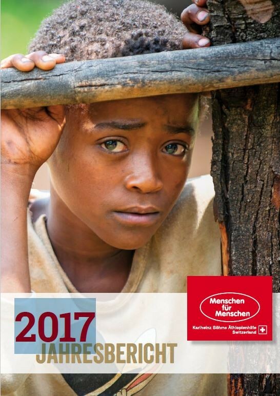 Vorschaubild Jahresbericht 2017