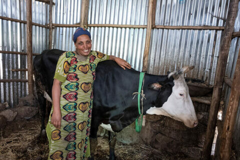 Äthiopierin mit Holstein-Kuh
