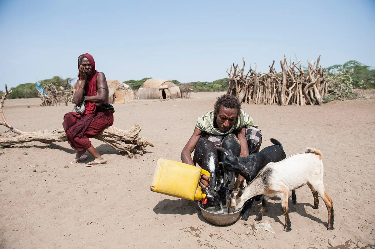 Afar-Nomade tränkt seine Ziegen