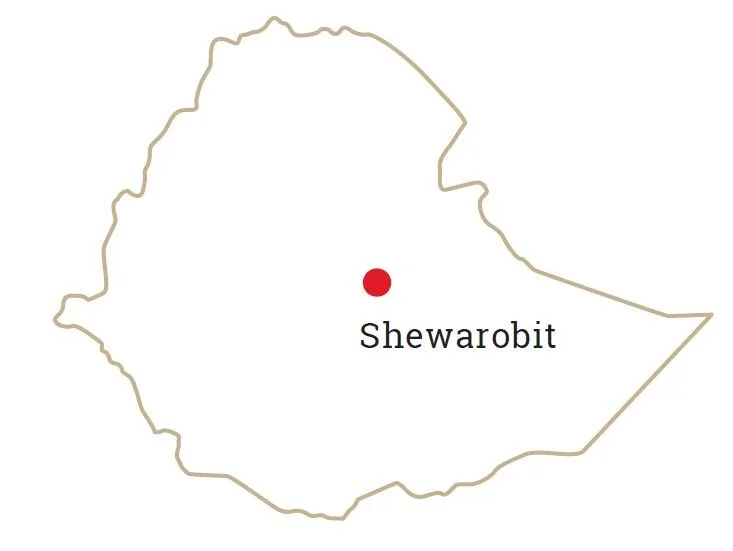 Äthiopische Landkarte mit Markierung "Shewarobit"