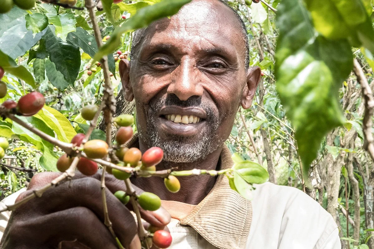 Kaffeebauer zeigt Kaffeekirschen | Stiftung Menschen für Menschen Kaffeebauer zeigt Kaffeekirschen