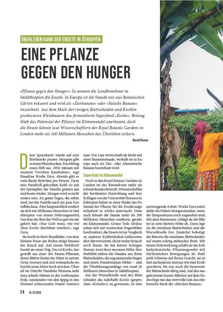 Vorschaubild Doppelpunkt-Magazin