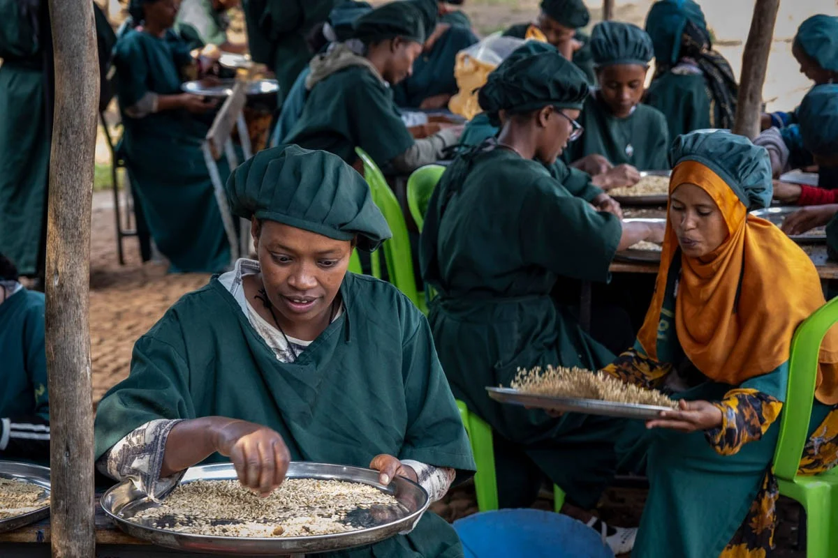 Aster sortiert Körner in der Hauswirtschaftsausbildung