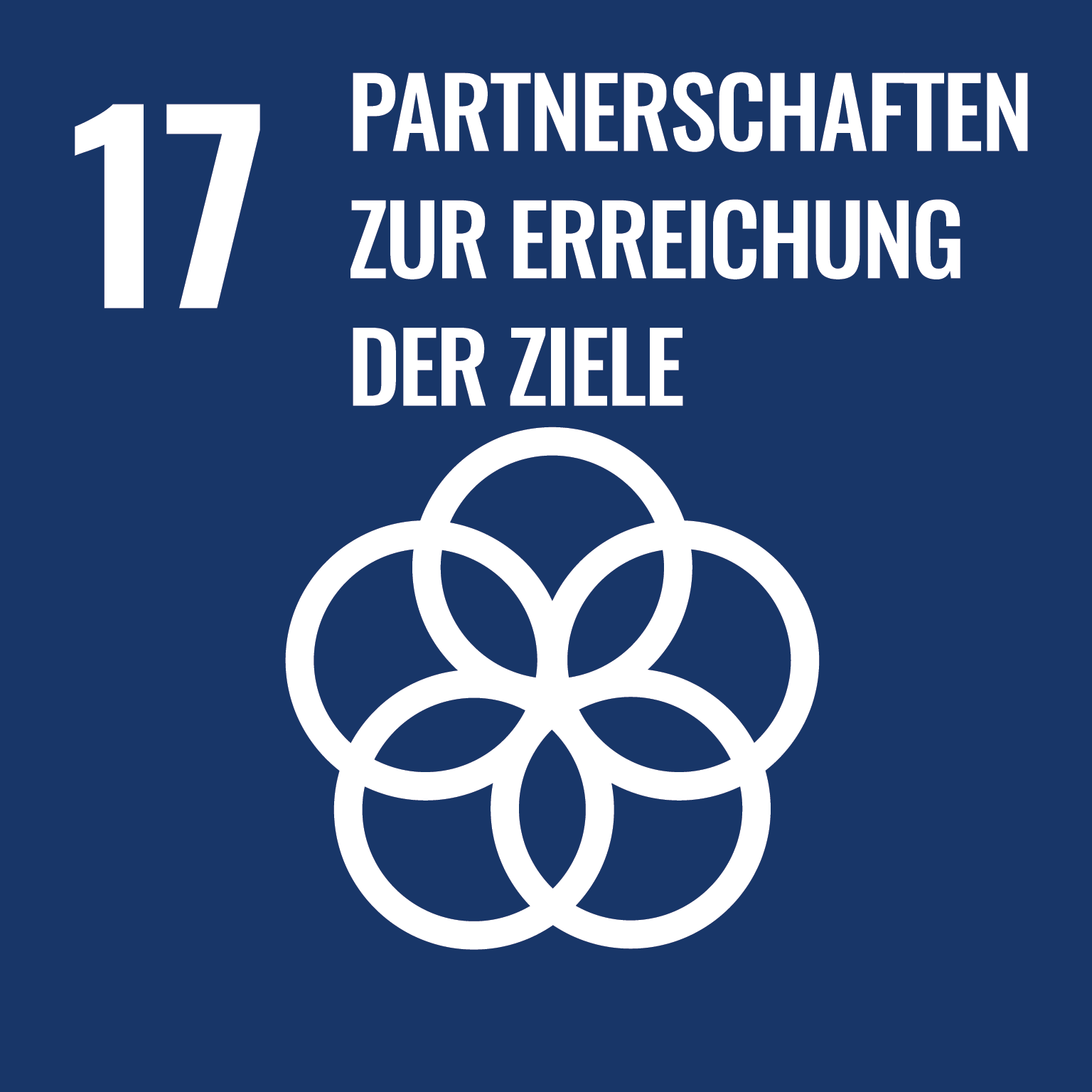 SDG 17-Icon "Partnerschaften zur Erreichung der Ziele"