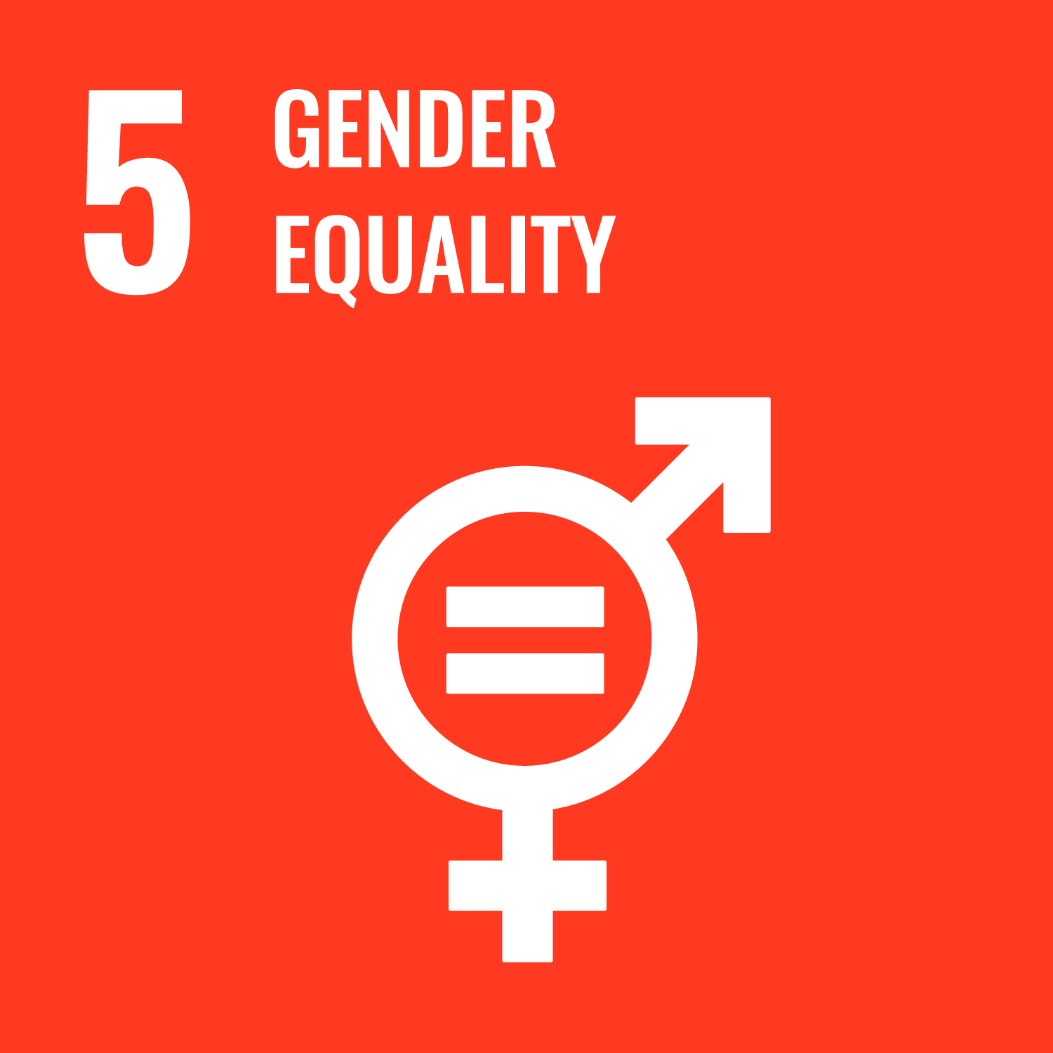 Sustainable Development Goal: SDG 5 "Gender Equality"