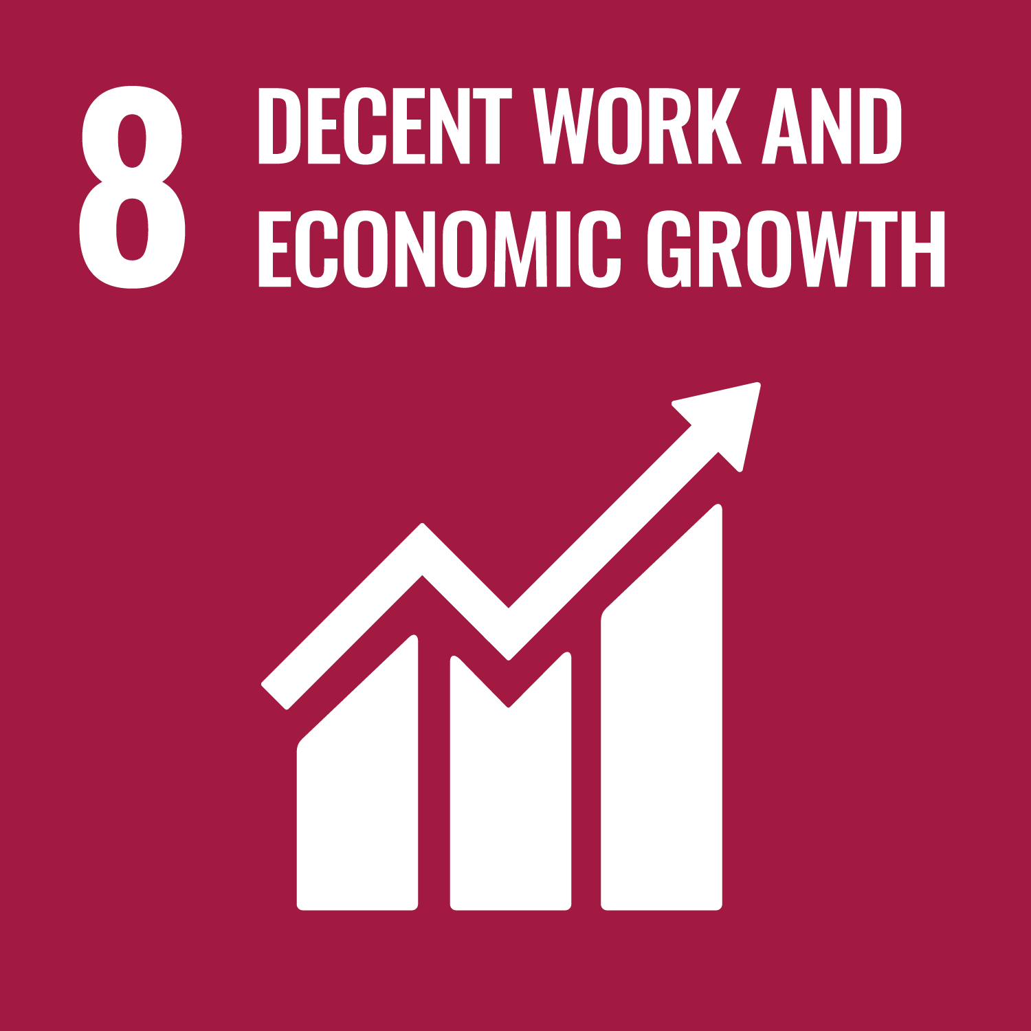 Sustainable Development Goal: SDG 8 "Decent Work and economic growth""