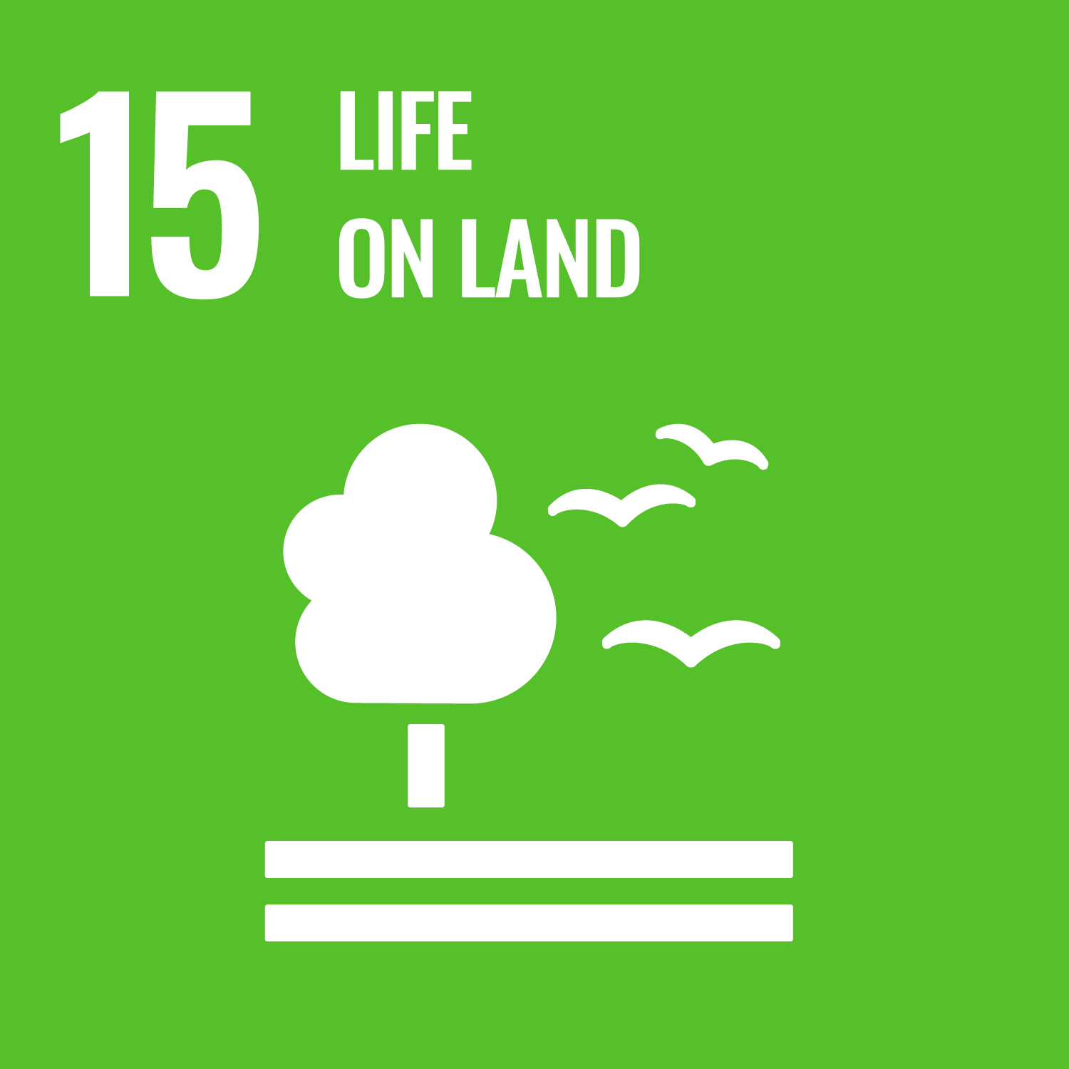 Sustainable Development Goal: SDG 15 "Life on land"