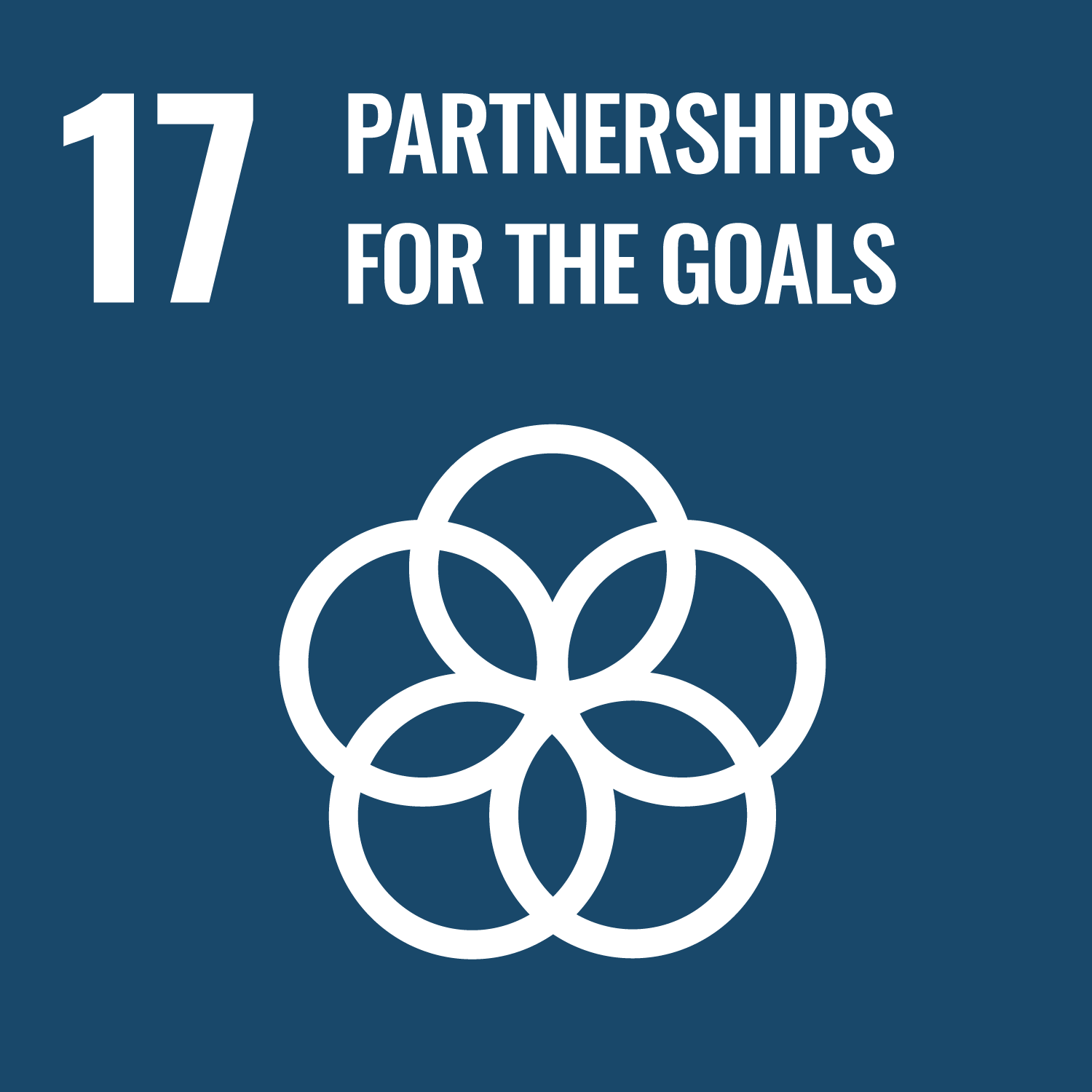 Sustainable Development Goal: SDG 15 "Partneships for the goals"