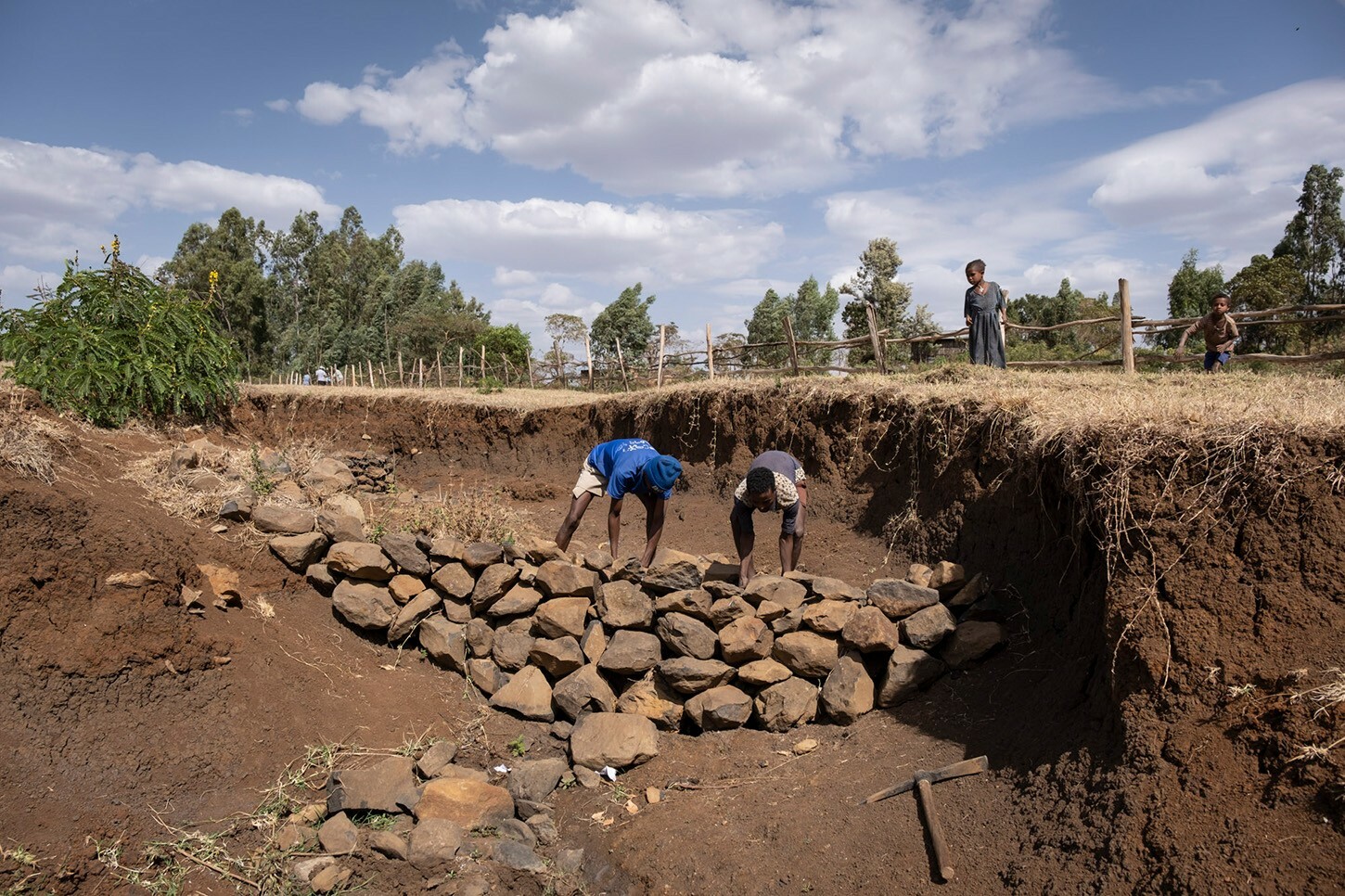 Erosionsrinnen in Fogera Äthiopien 