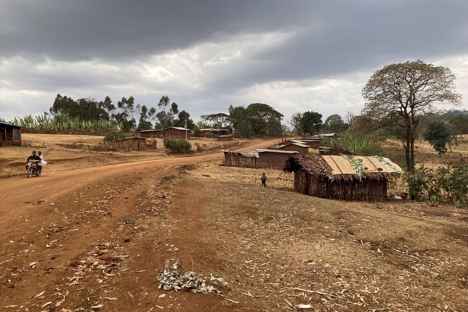 Landstrasse in Hambela Wamena