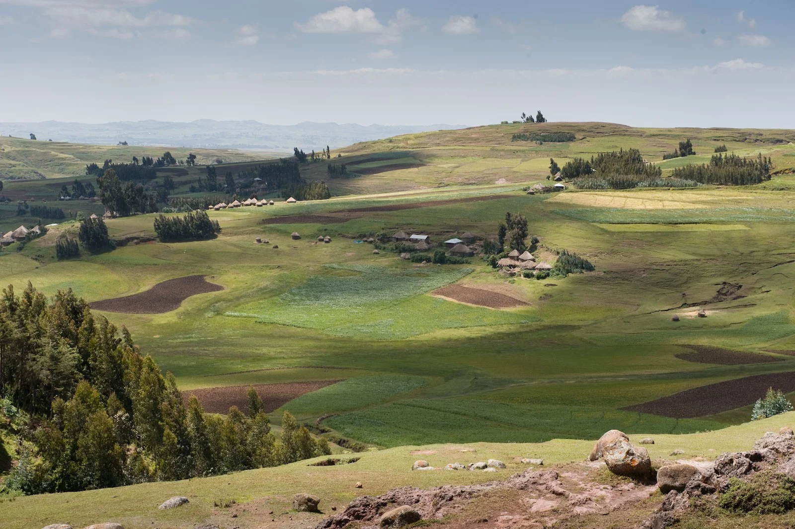 Weite Sicht auf gründe Landschaft mit Ackerfeldern