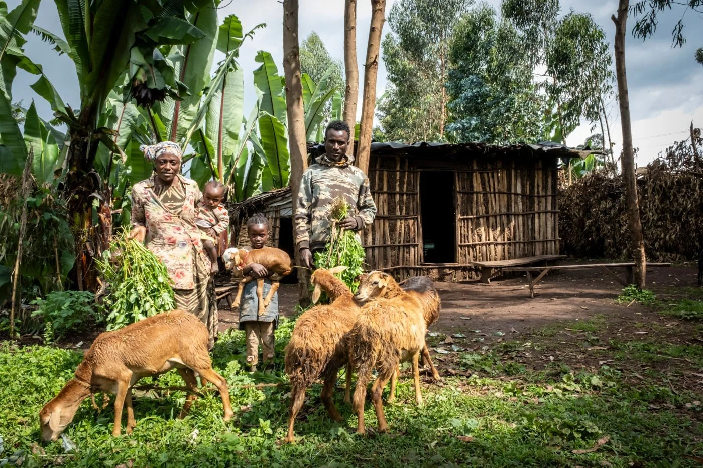 Bauernfamilie steht mit Schafen vor ihrer Hütte