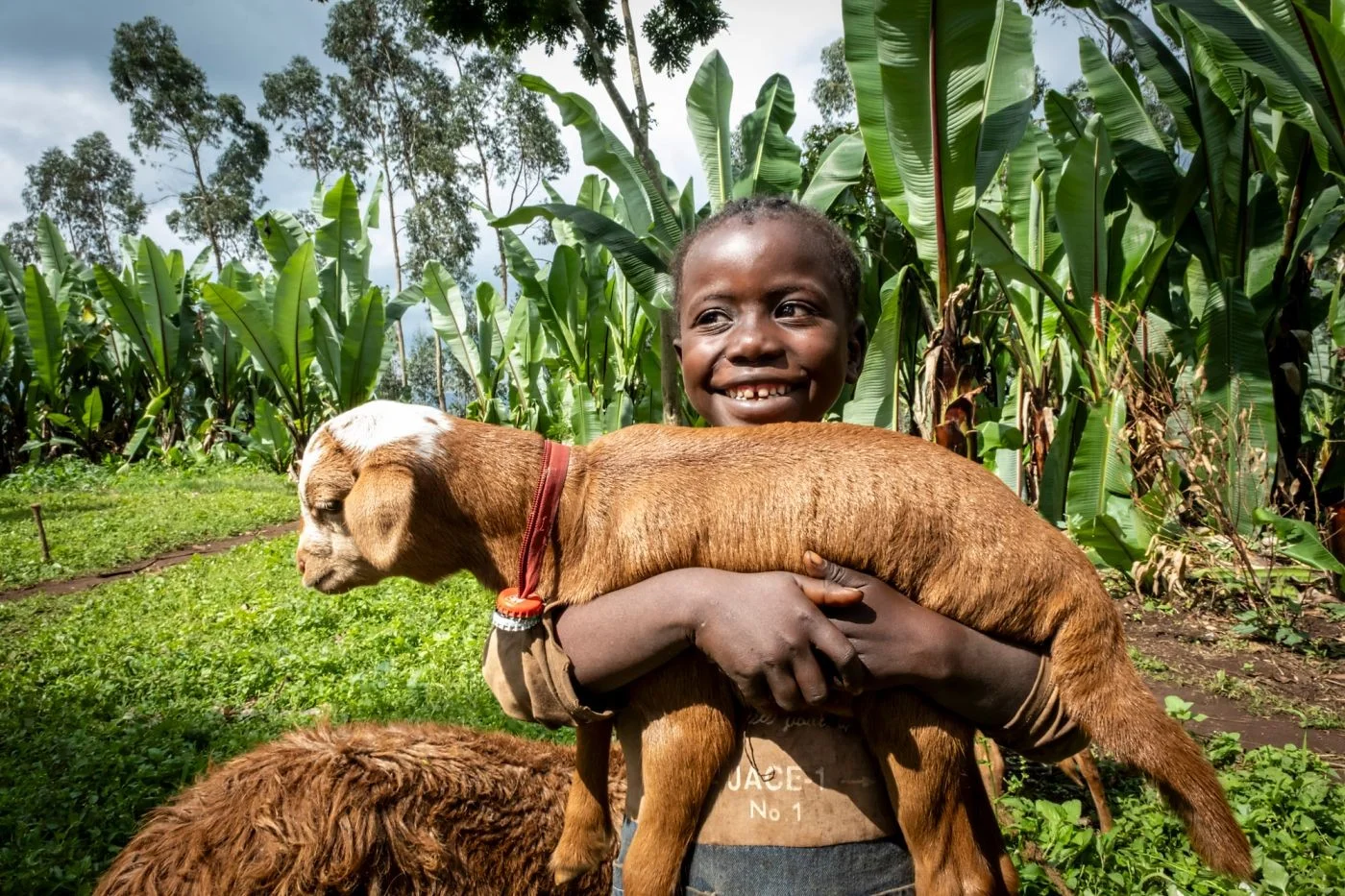 Kind hält Lamm im Arm