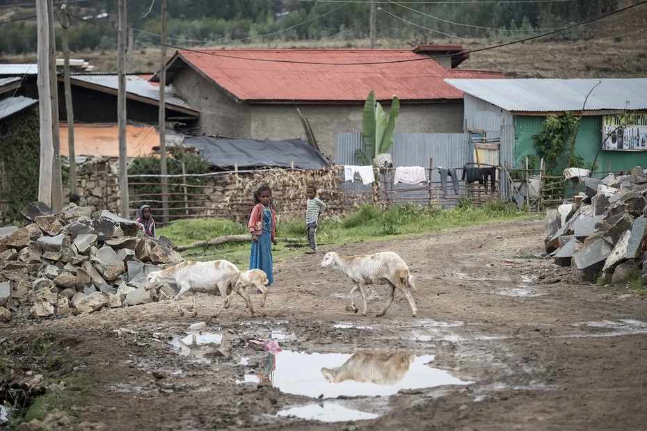 Viele Zuzügler vom Land: Strassenszene in Debre Berhan