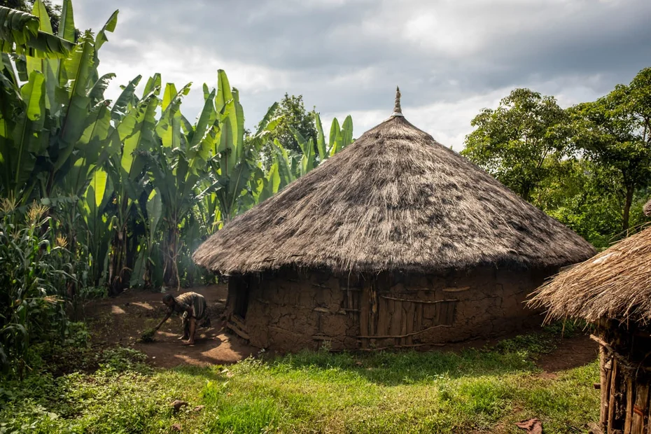 Afrikanische Rundhütte von grüner Landschaft umgeben.