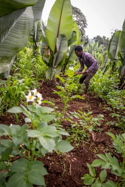 Bauer Zenebe bei der Arbeit im Feld