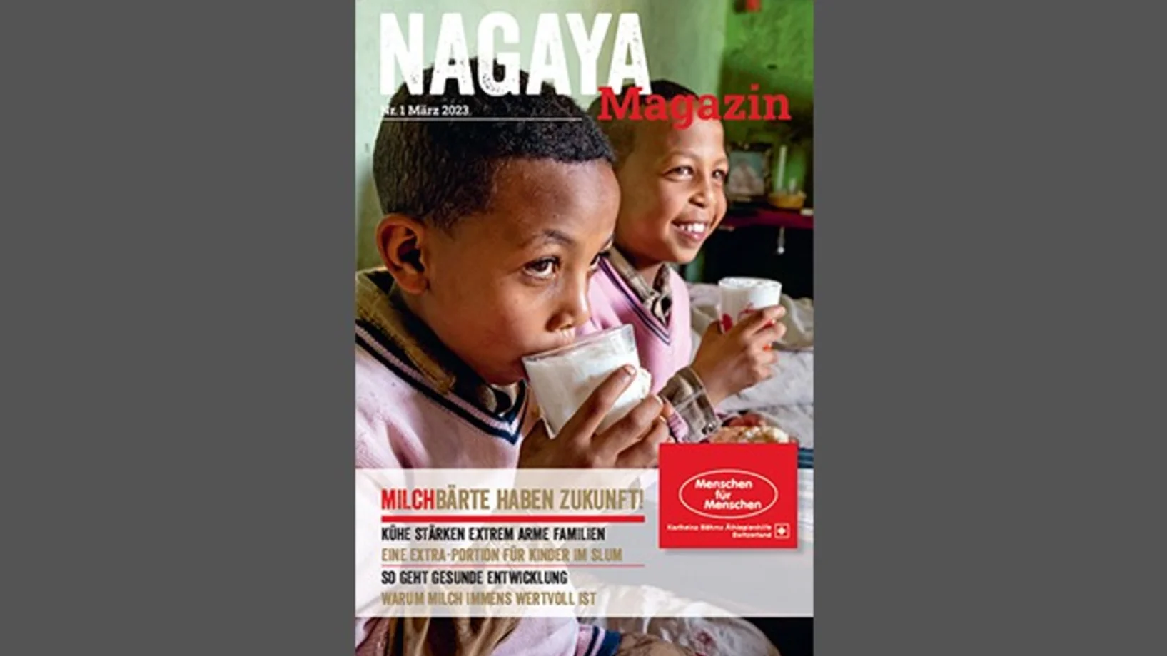 Vorschaubild Nagaya Magazin 1.23