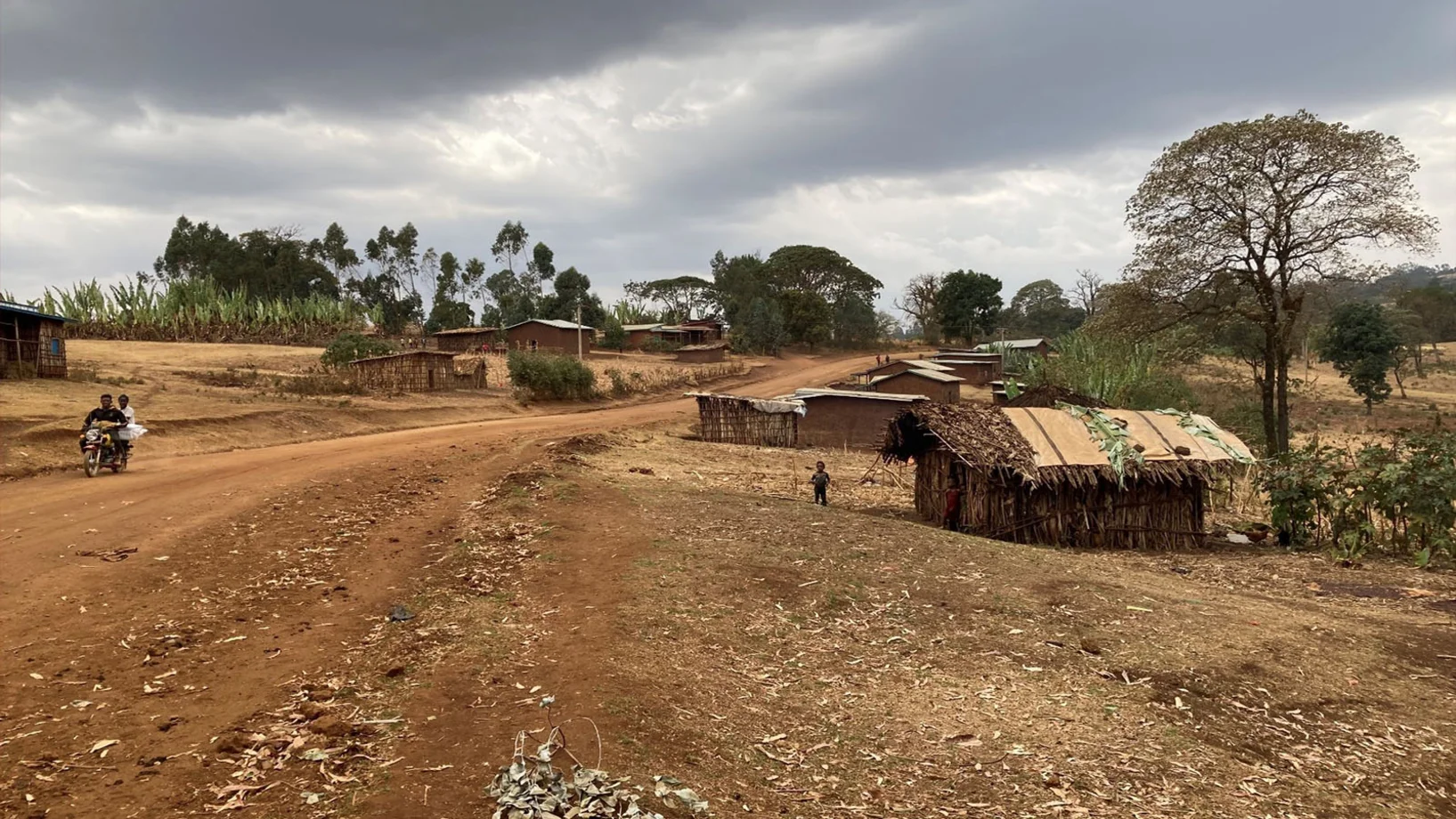 Landstrasse in Hambela Wamena