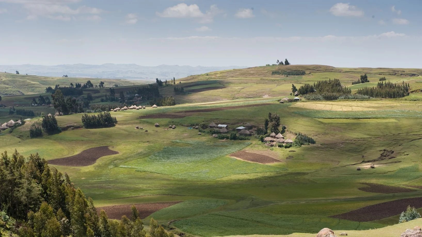 Weite Sicht auf gründe Landschaft mit Ackerfeldern