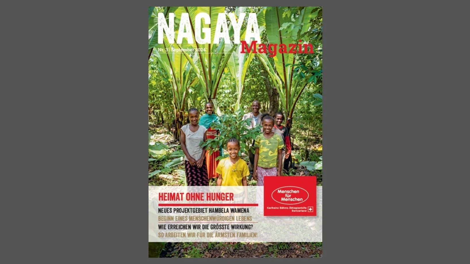 Vorschaubild Nagaya Magazin 3.24