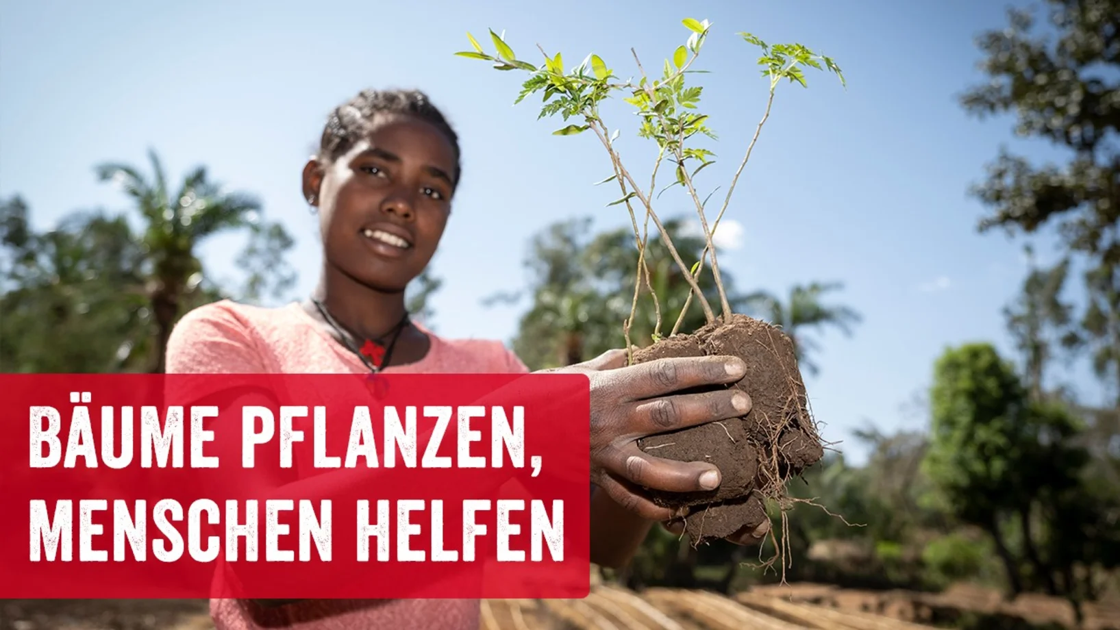 Aufforstung in Äthiopien