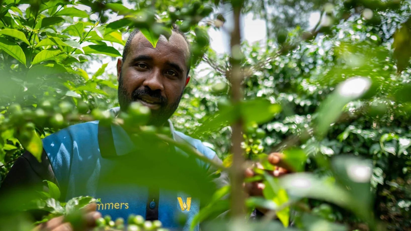 Bauer Demeke hinter Kaffeepflanzen