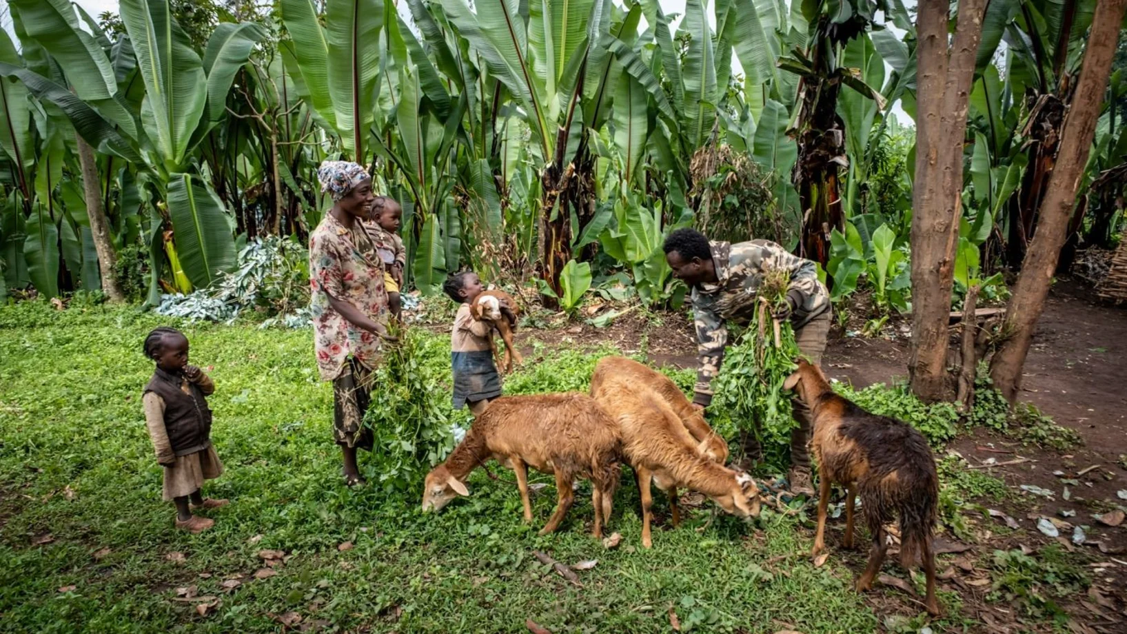 Die Familie steht neben den Schafen