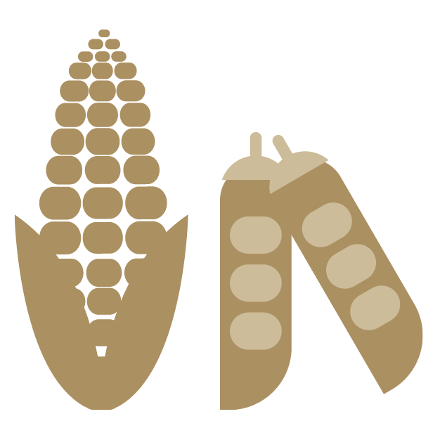 Icon mit Mais und Bohnen