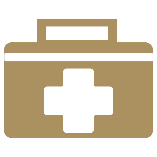 Icon: Medical case