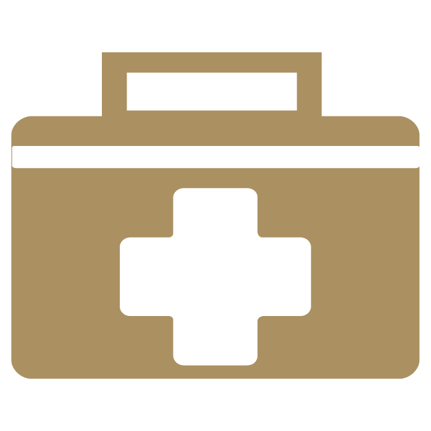 Icon: Medical case