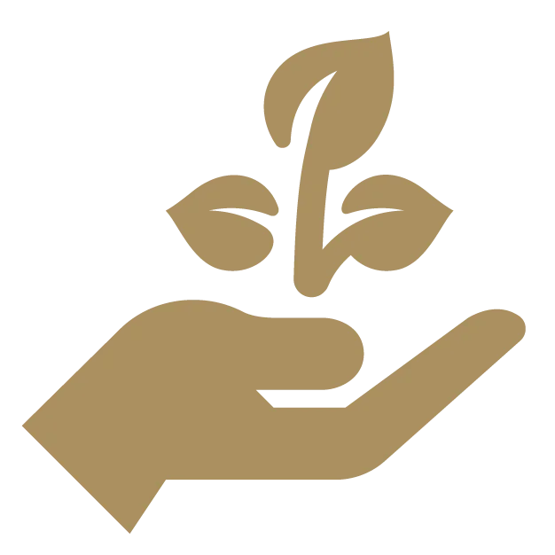 Icon Baumsetzling