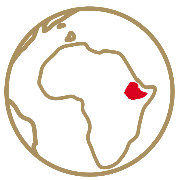 Icon: Globus mit Afrika im Fokus und Äthiopien rot markiert