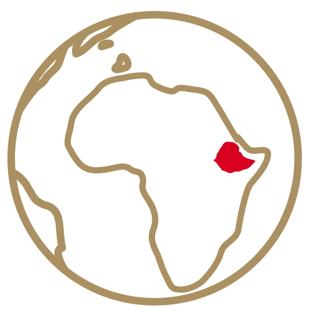 Icon: Globus mit Afrika im Fokus und Äthiopien rot markiert